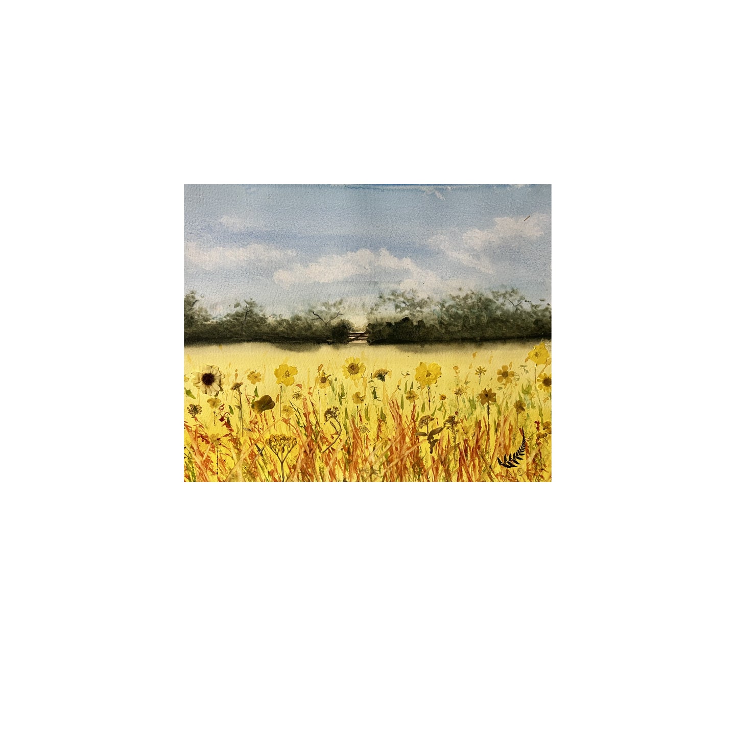 Printed Card