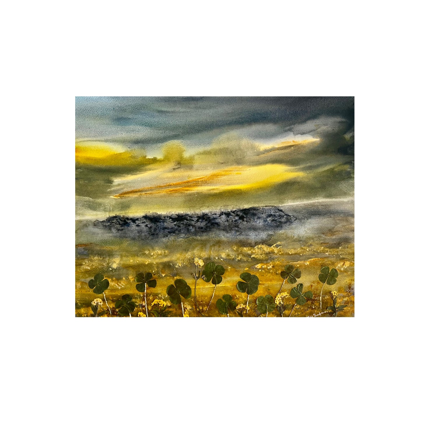 Printed Card (25b)