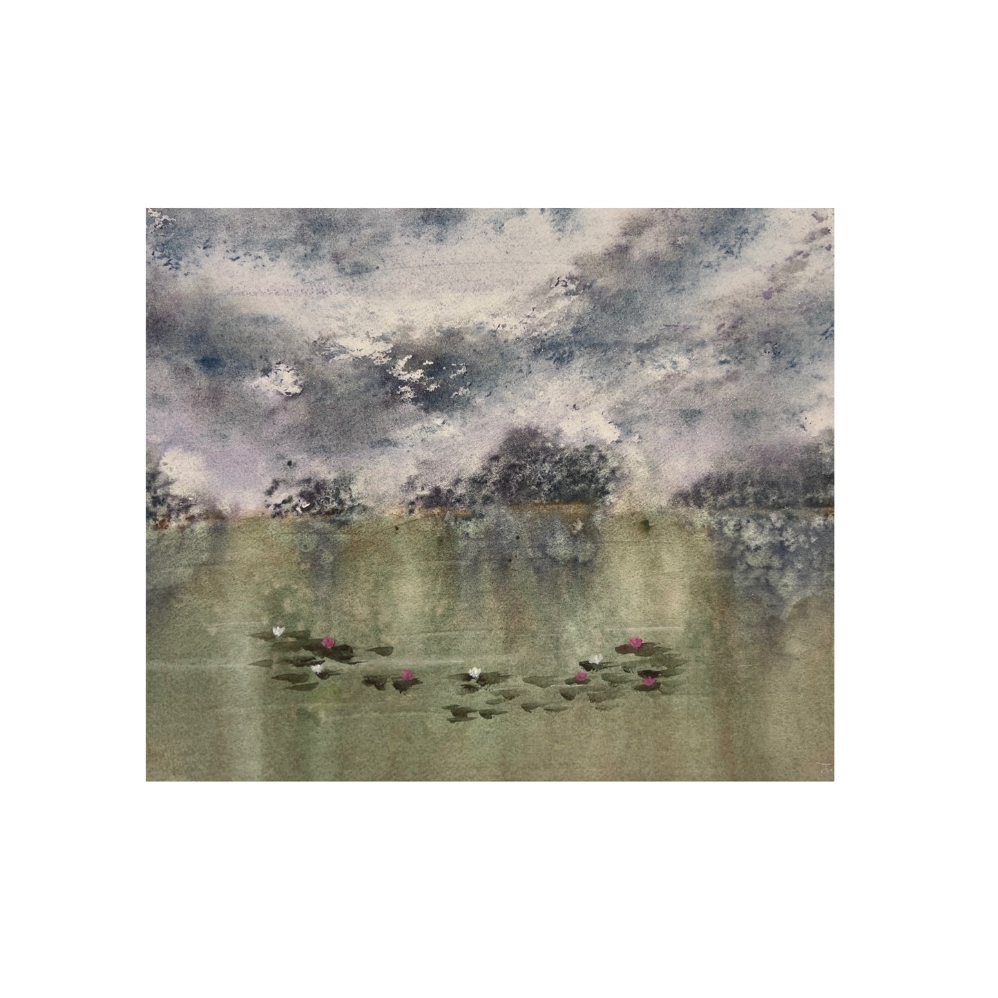 Lily Pond (sold framed)
