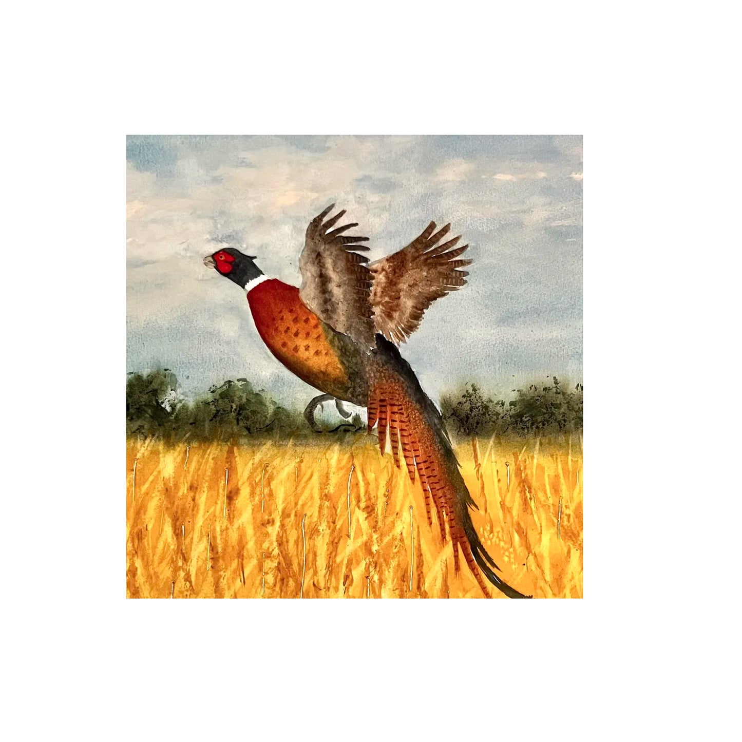 Printed Card (32)