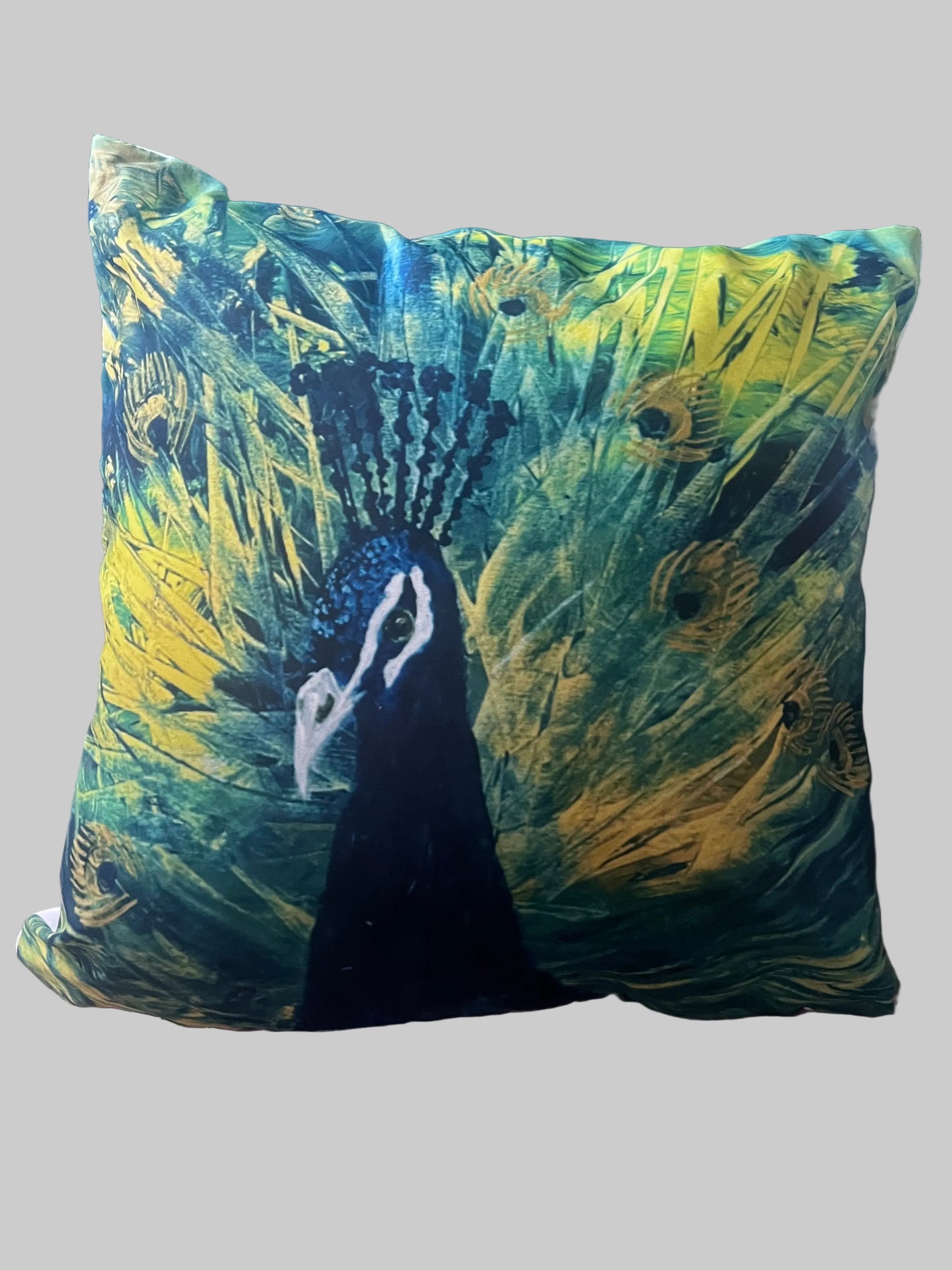 Cushion