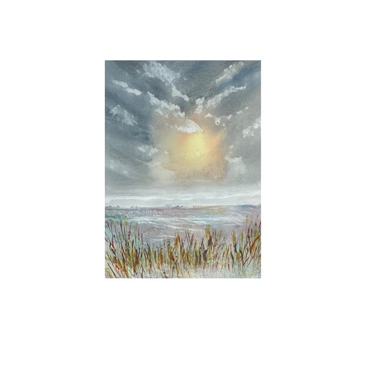 Printed Card (14b)