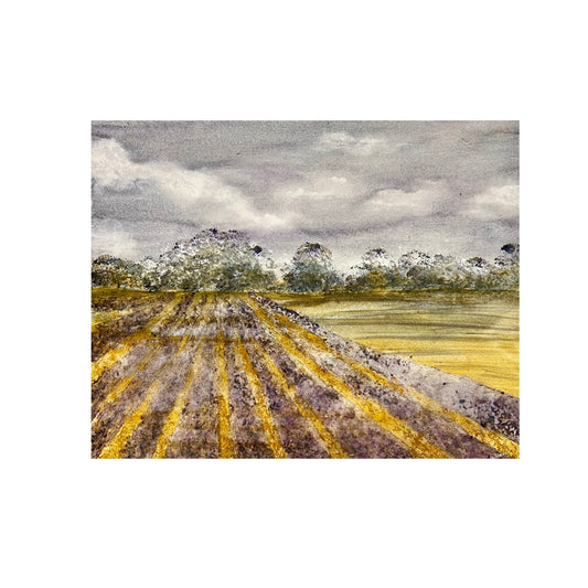 Printed Card (20b)