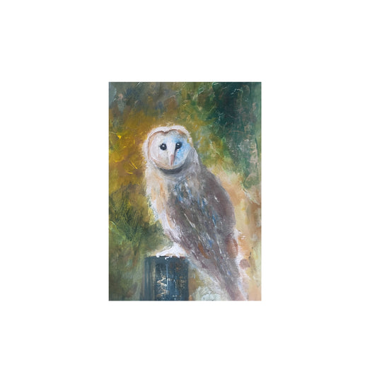 Card (117)