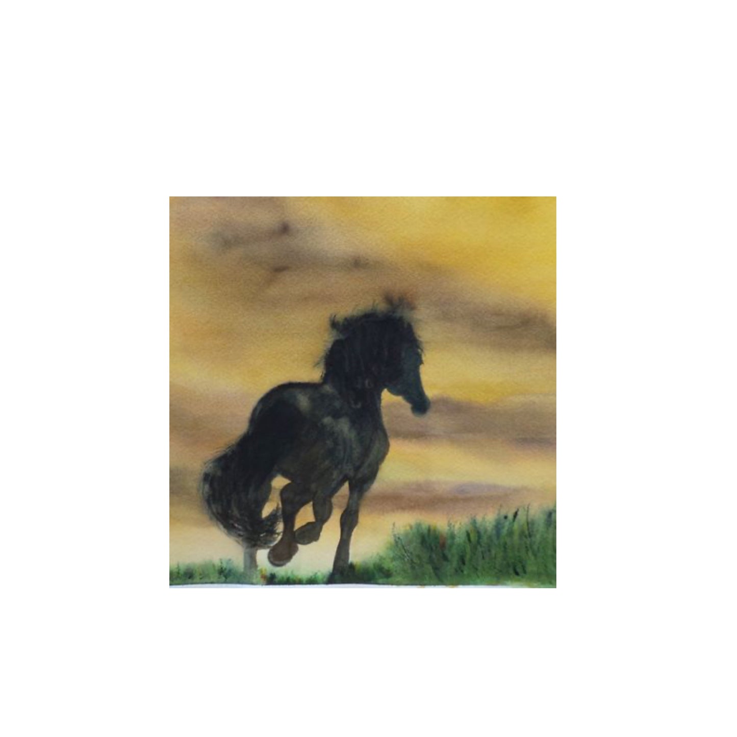 Card (107)