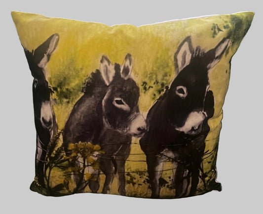 Cushion