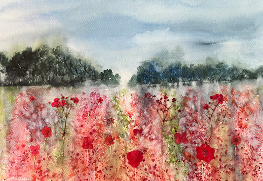 Light across the Poppy Field