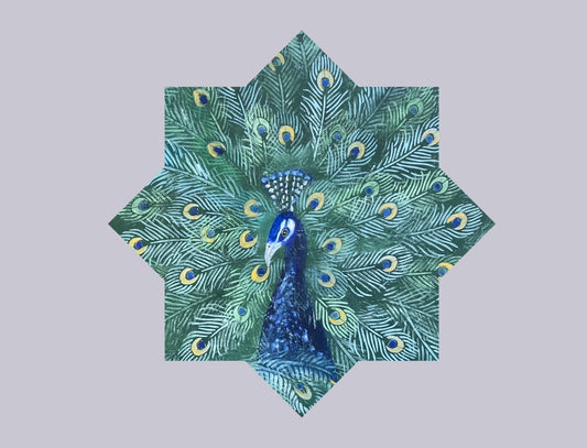 Coasters (set 4 )